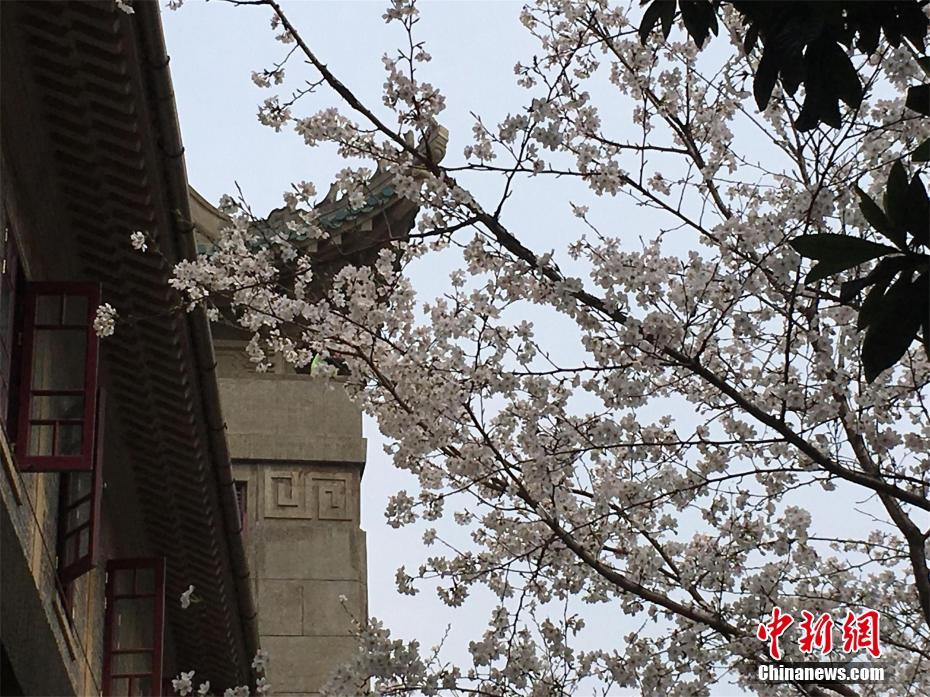 濟南市委常委會召開會議 劉強主持并講話