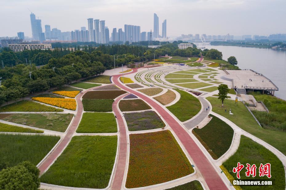 治臻股份科創板IPO終止！