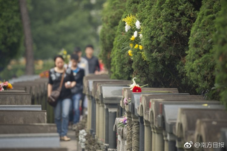 新疆電網近期相關電力市場化交易公告