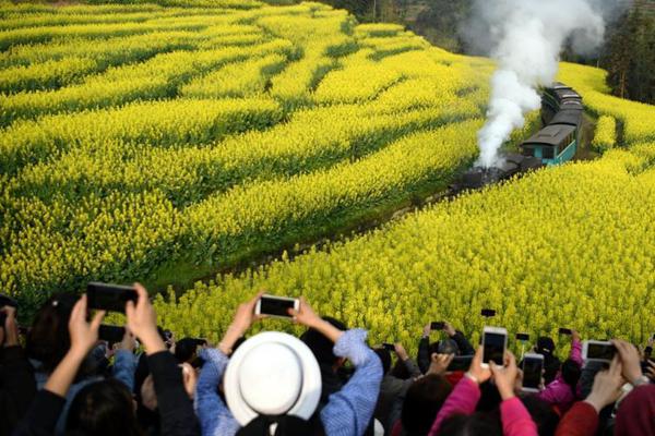山東2023年高考體檢安排來了！省招考院致信提醒考生