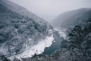 用積雪堆出一只霸王龍！