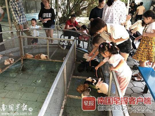 我爸，構成了農村父親的大多數
