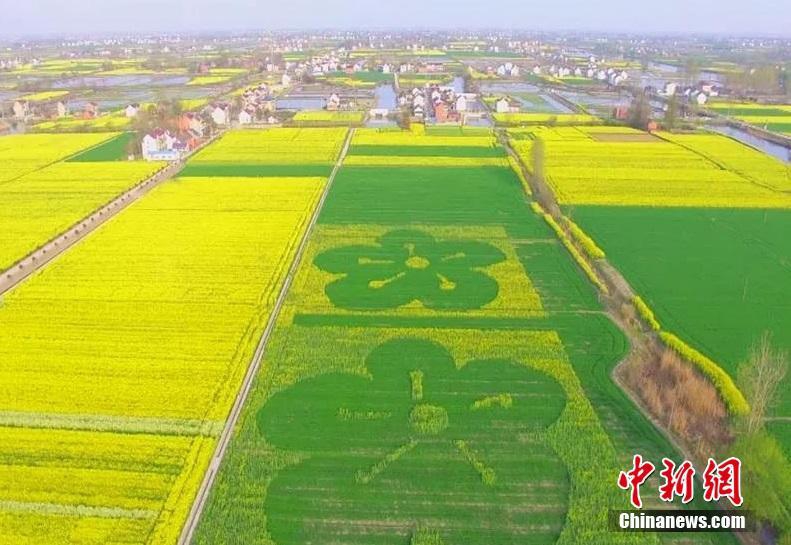 開發商自查“夸張宣傳”主動清理出格內容