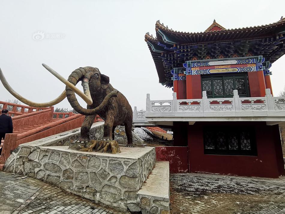 湖北武漢新建2座加油(加氫)站