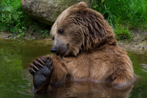 廣西維護市場秩序 清理98家“僵尸”售電企業