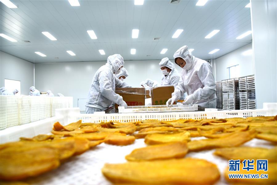 2020年天貓雙十一總成交額達4982億元，如何解讀今年的增幅？