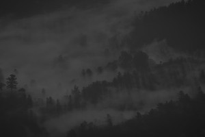 光明時評：限制業(yè)主用電的物業(yè)豈止于“黑”