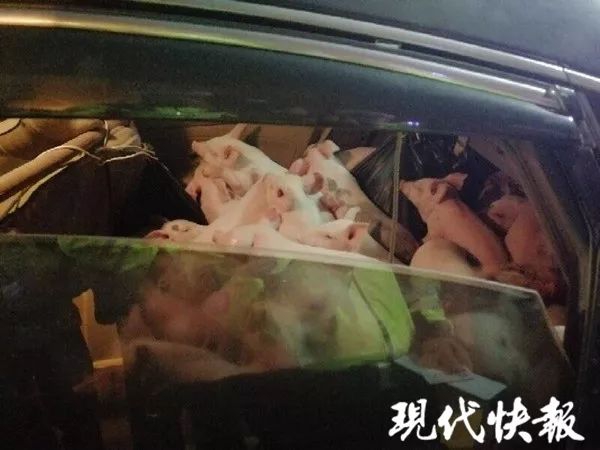 國網(wǎng)官宣：全面開啟建設(shè)具有中國特色國際領(lǐng)先的能源互聯(lián)網(wǎng)企業(yè)的新征程