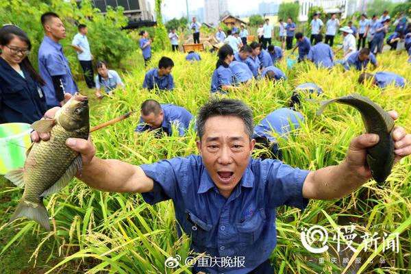貴州2020年4月2家售電公司納入電力市場主體目錄