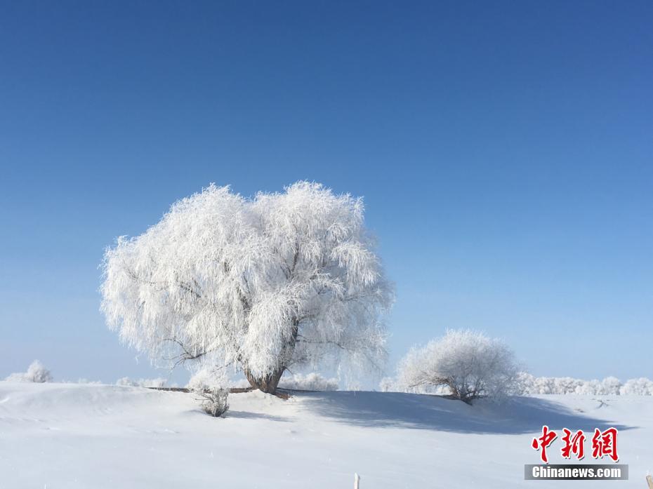 國內(nèi)互聯(lián)網(wǎng)公司的前途，基本是出海