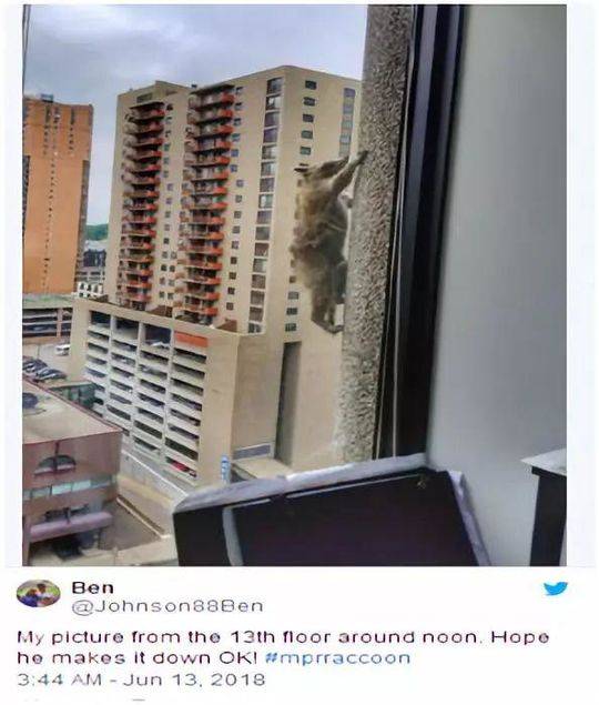 神配音，少芬姐聽了想打人