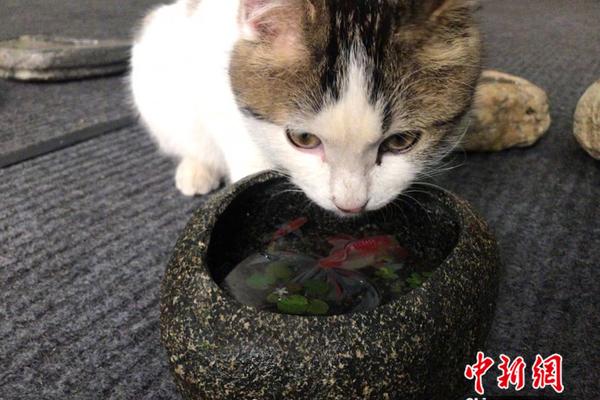 李克強出訪拉美四國：簽署哪些合作協議（圖集）
