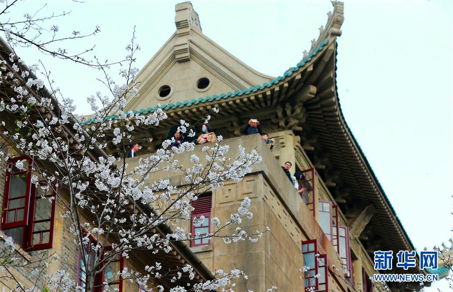 上浮19.79%！福建完成電價改革后首次月度集中競價交易