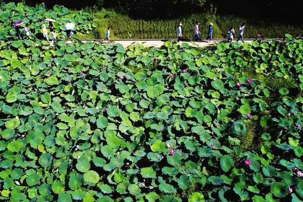 山東省政法隊(duì)伍教育整頓第一指導(dǎo)組進(jìn)駐我市