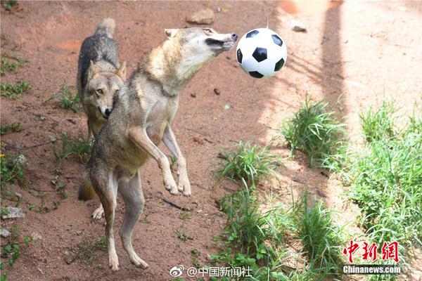勇當排頭兵建設強省會 濟南努力在全省高質量發展中當引領