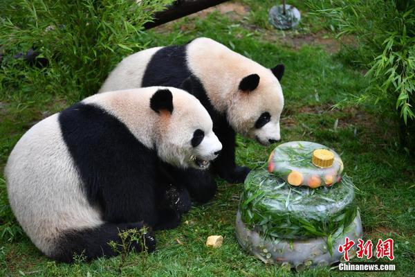廣西送變電兩項輸變電工程榮獲國家優質工程獎