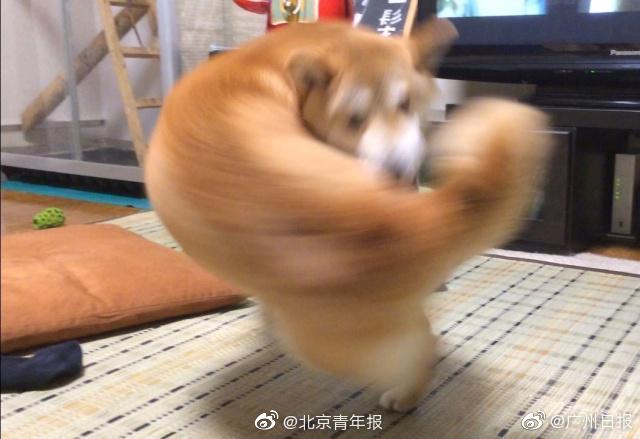 [博海拾貝0119]藤原拓海中國之旅
