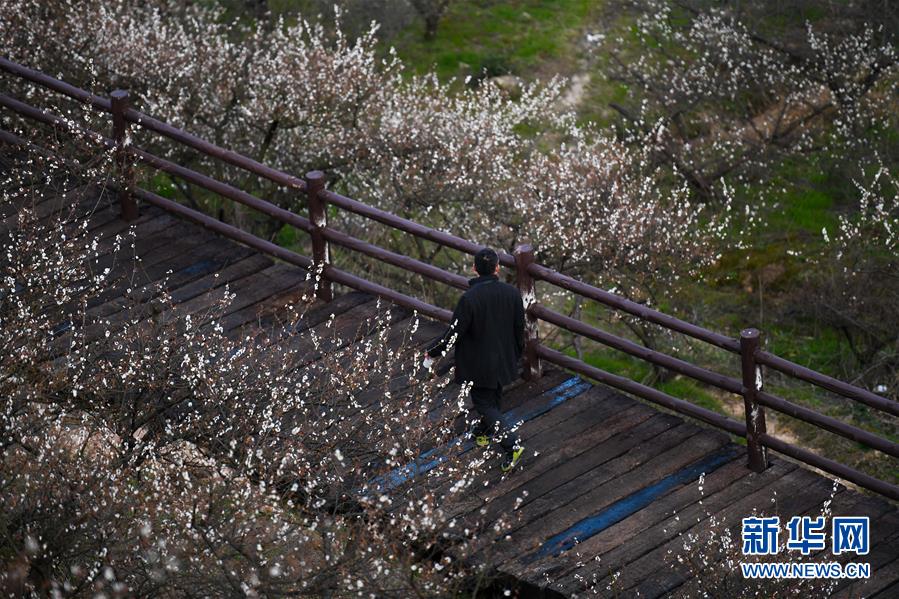 百貨50條，全部是實用的玩意兒（ 03.05）