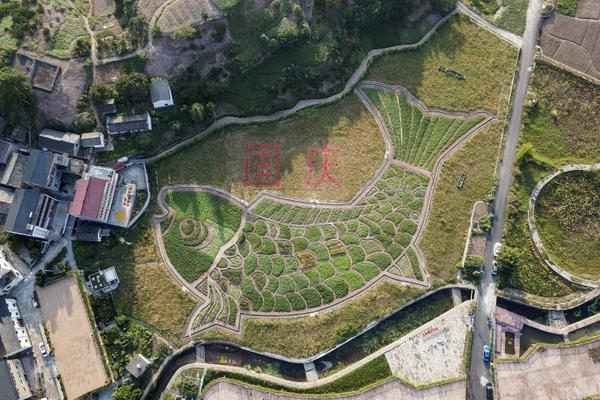 第二屆"影響濟南"醫養健康品牌選樹