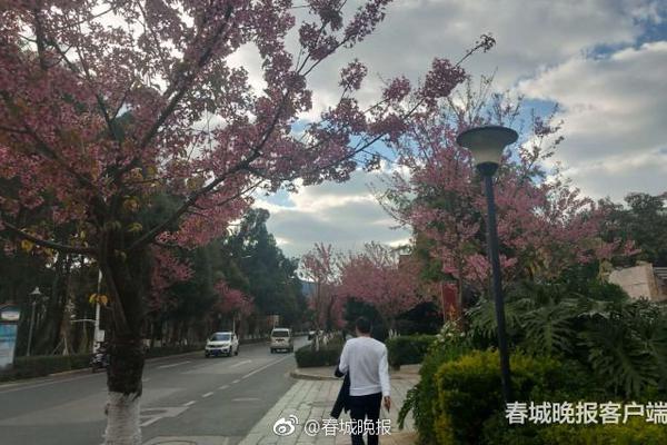 國網湖南電力2021年第一次配網物資協議庫存招標采購