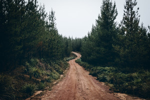 用Midjourney生成的各大游戲主題的戒指，很帶感