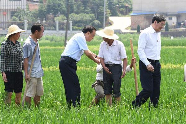 濟南發生塌陷地震，8名專家現場勘察：或與地質構造有關