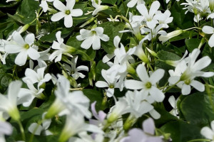 濟南港華燃氣雙組活動全面推開