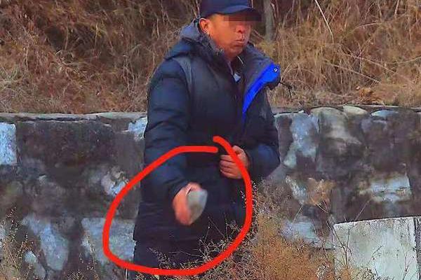 治愈系小假期過得不簡單