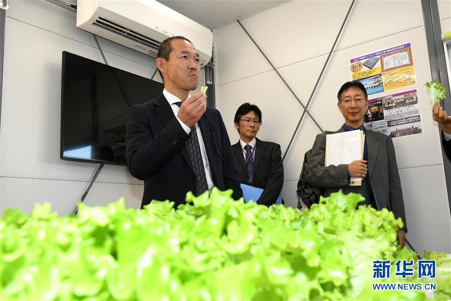 勇士怕的不是哈登是登哥