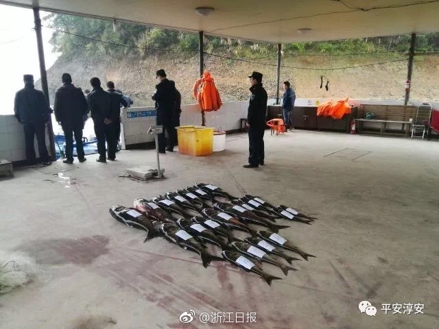 深圳實施階段性支持工業經濟運行措施：一季度新增建設充電設施2萬個