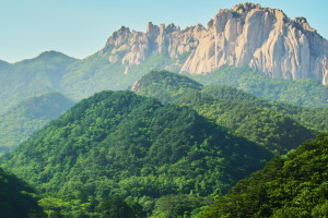 中興力維站點安防系統成津巴布韋偷油賊噩夢（組圖）