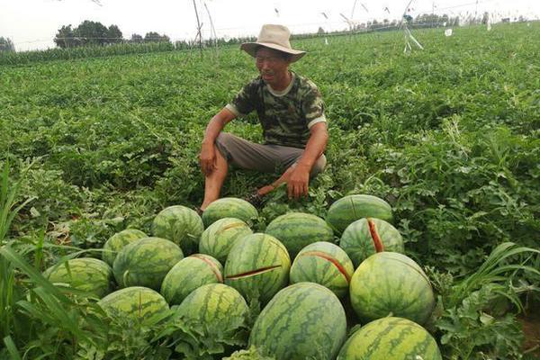 總投資622億！內蒙古氫能和硅全產業鏈項目獲準備案
