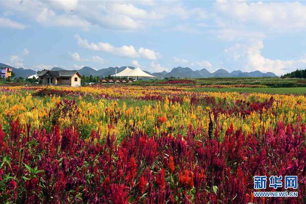 河北：鼓勵支持民營企業參與推進碳達峰碳中和參與碳排放權、用能權交易