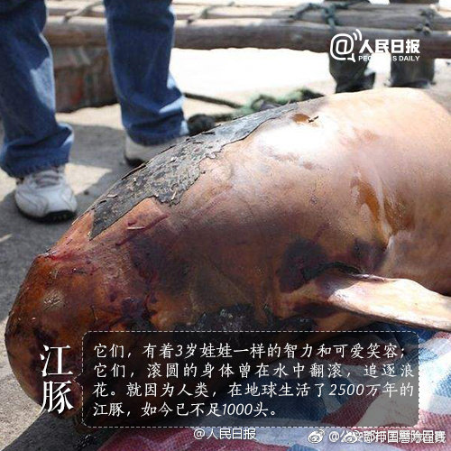 小清河復航工程濟南段完工超92%！&ldquo;通江達海&rdquo;再近一步
