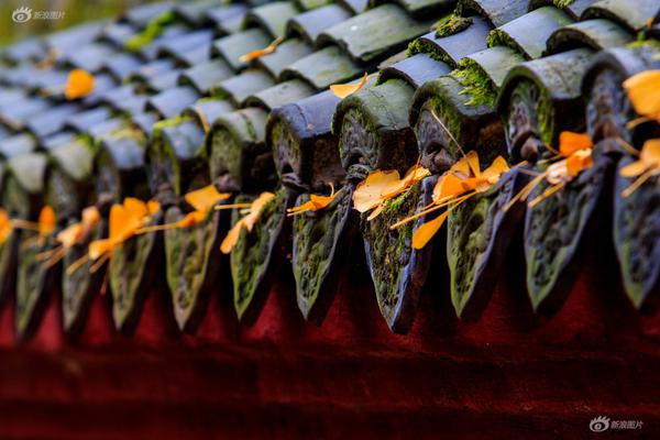 陜西：積極促進煤炭、油氣等資源深度轉(zhuǎn)化利用