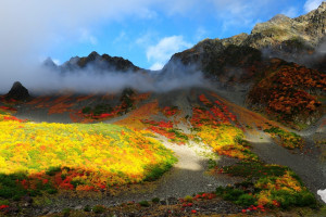多項目齊發力再掀奪金熱潮 日奪10金！山東軍團高歌猛進