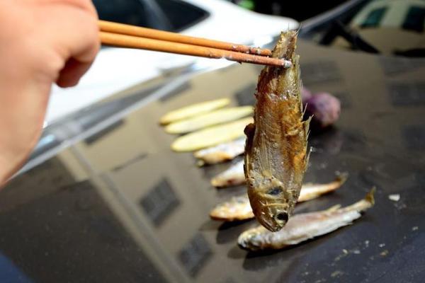 人民日報點贊濟南：泉潤湘西拔窮根