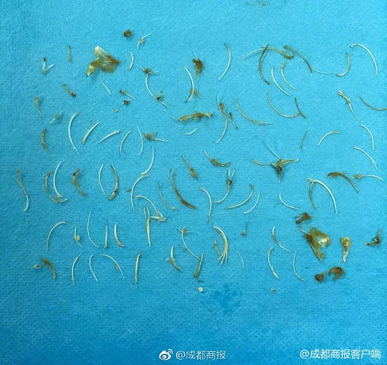 國網(wǎng)湖北電力今年將新建充電樁2萬臺