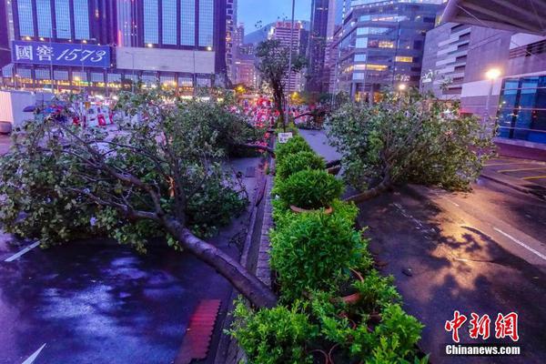 羅永浩自曝曾兩次發不出工資，只能騙員工：銀行系統出了問題