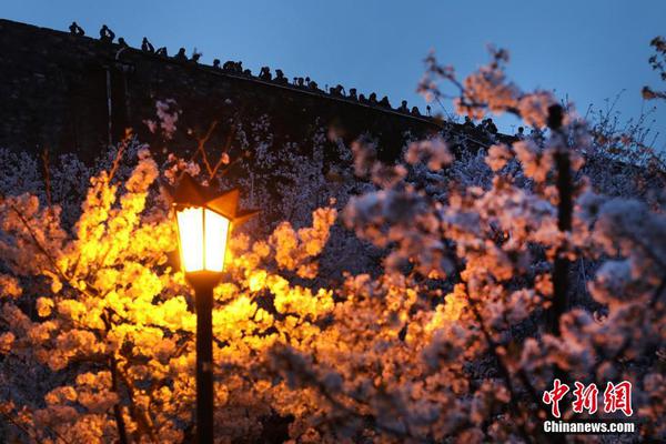 湖南郴州市促進電力設備制造業和電力工程行業發展的實施方案