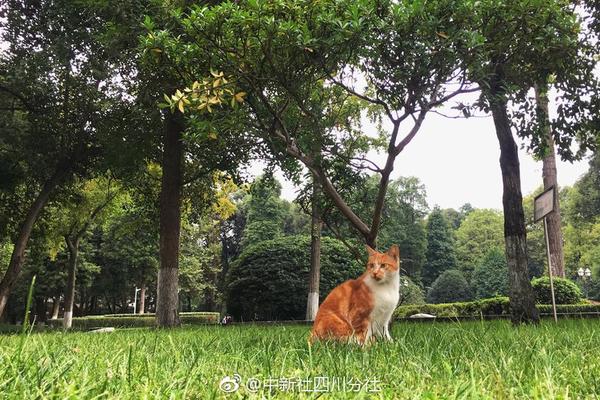 國(guó)網(wǎng)黑龍江省電力公司召開2023年第四季度工作會(huì)議