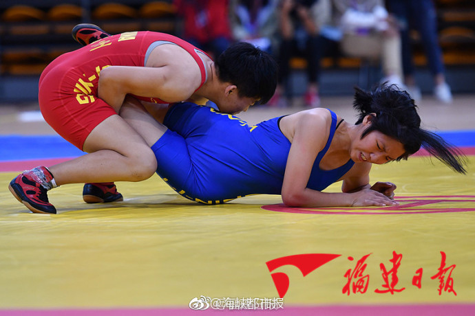 巴西總統盧拉與中國國家電網公司總經理張智剛舉行會談