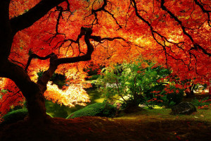 大數(shù)據(jù)助力寧夏電網(wǎng)數(shù)字化轉(zhuǎn)型