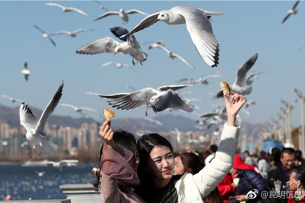 國家為何發(fā)文要求加強(qiáng)新形勢下電力系統(tǒng)穩(wěn)定工作?