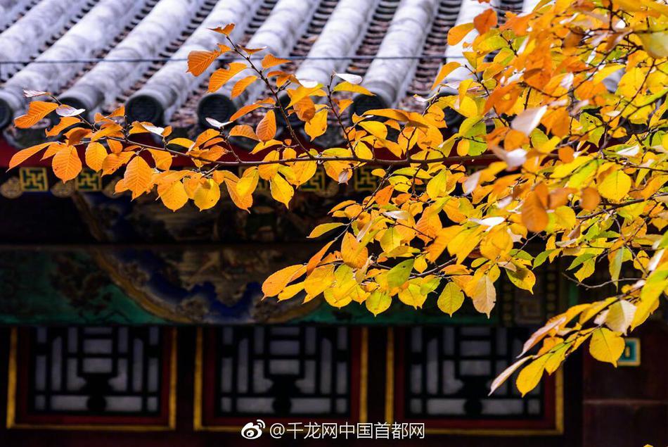 山東深入推進(jìn)&ldquo;一網(wǎng)通辦&rdquo;，政務(wù)服務(wù)事項(xiàng)網(wǎng)辦率達(dá)90%以上