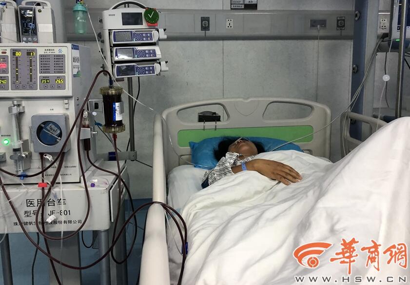 [博海拾貝1105]鴿王專用