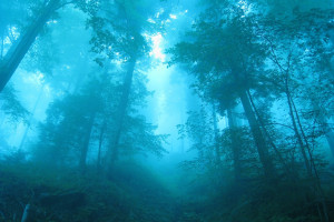 去年國網經營區市場化交易電量同比增9.6%