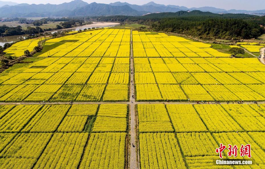 科遠股份“凝汽器在線清洗機器人”APEC論壇大放異彩（圖）