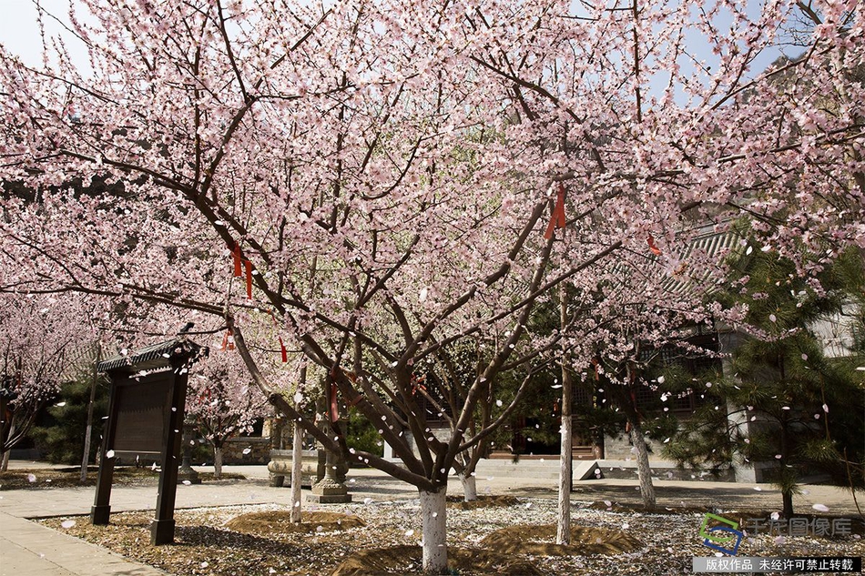 廣西欽州：參與全國一體化算力網絡長三角、成渝、貴州國家樞紐節點建設