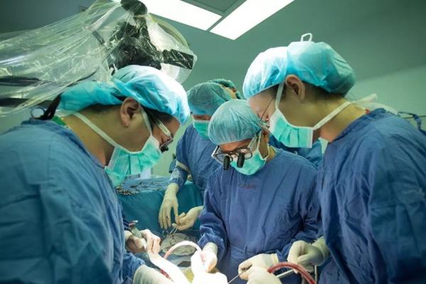 湖南攜手澳大利亞礦業巨頭FMG集團布局氫能等產業